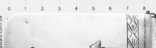 Корпус кошелька. 84 проба. Русский модерн. Юниг Константин. Санкт-Петербург. 1894 - 1898, фото №5