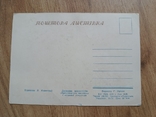 З Новим роком худ. Яланський 1956 р тир. 200 000. Вид -во Мистецтво. Чиста, фото №7