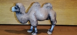 Статуетка: верблюд, гумовий пластик, Schleich, фото №4