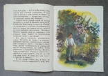 Медведь. Марко Вовчок. Худ. В. Ульянова. 1983 год., фото №5