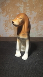  Статуэтка Охотничья собака. Royal Dux фарфор, фото №5