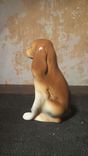  Статуэтка Охотничья собака. Royal Dux фарфор, фото №6