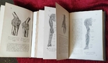 Гейцман. Описательная и топографическая анатомия человека. Атлас, оба тома М. тип.Сытина, фото №7