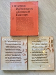 Дослідження про Київську Псалтірі, автор Вздорнів Г. Том 1 і 2, фото №2