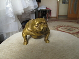 Бульдог собака бронза бронзовая статуэтка ., фото №3
