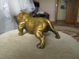 Бульдог собака бронза бронзовая статуэтка ., фото №5