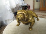 Бульдог собака бронза бронзовая статуэтка ., фото №6