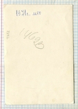 Дитячий лук для дівчинки-підлітка 1971, фото №3