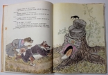 Російські казки про тварин. Капот. Є. Рачева. 28 х 21,5 сантиметрів 128 сторінок, фото №5