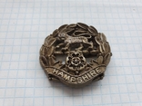 Hampshire Regiment WW2 Plastic, фото №3