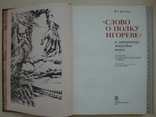 " Слово о полку Игореве " в литературе, искусстве , науке., фото №3