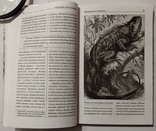 Брем А.Є. Життя животних: Плазуни. Амфібії. Тир. 5000 примірників, фото №2
