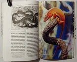 Брем А.Є. Життя животних: Плазуни. Амфібії. Тир. 5000 примірників, фото №4