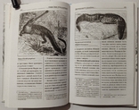 Брем А.Є. Життя животних: Плазуни. Амфібії. Тир. 5000 примірників, фото №8