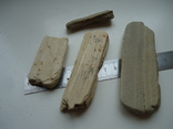 Уламки скам'янілої деревини. (у зв'язку з невикупом), фото №5