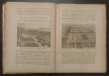 Ант. Козаченко, "Українська культура, її минувшина й сучасність" (1931), фото №8