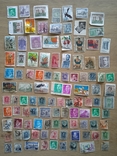 Колекція марок, фото №3