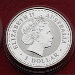  1 долар, Австралія 2006 . Рік Собаки / позолочений собака+, фото №8