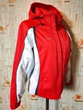 Куртка лижна. Термокуртка жіноча PHENIX профі утеплювач THUNDERON р-р 10(прибл. М-L), фото №3