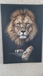 Картина лев печать на холсте размер 45/66 см., фото №5