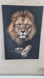Картина лев печать на холсте размер 45/66 см., фото №8
