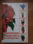 Енциклопедія кімнатного квітникарства., фото №2