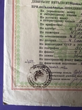1952 Васильков Киевская область Свидетельство Зингер, фото №6