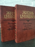Книги о Пушкине, фото №7