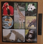 Альбом карт про животных, фото №2