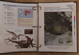Альбом карт про животных, фото №12