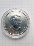 5 доларів Канада 2012 рік срібло, фото №11