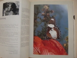 Книга о бабочках, фото №11