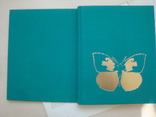 Книга о бабочках, фото №12
