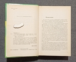 Полный справочник лекарственных растений. П.А. Кьосев 2001г, фото №7