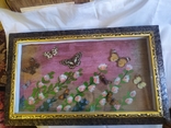 Картина с бабочками 49х30см, фото №2