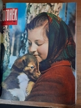 Подшивка журнала ,,Огонек,, за 1965 год. Выпуски 1 - 17, фото №6