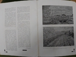  Искусство Давида Бурлюка. 1930год, США. Лот № 1, фото №12