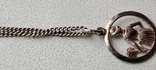 Серебряная цепочка с кулоном, фото №4