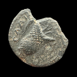Elaea Aeolia 161-192 гг н.э. (46.168), фото №4