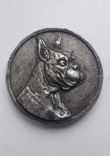 Жетон для собак, объемный барельеф бульдога, пр.Gloria - 4 см., толщ. 0.5 см., фото №2