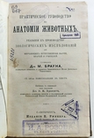 Практическое руководство по анатомии животных М. Брауна 1887 г., фото №2