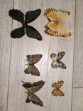 Метелики, фото №3
