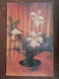 Вінтаж. Стерео листівка "Квіти". СРСР. 70-80-ті роки, фото №2