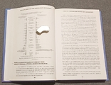 Сила масштаба: угроза или возможность? Андрей Визяк 2008г, фото №7