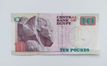 Банкнота 10 фунтов, Египет, фото №2