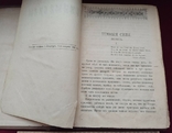 Константин Павлов (псевдоним) Темные силы СПб 1888 год без 16-17 стр., фото №5