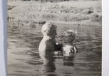 1960г. Изюм. В реке, фото №2