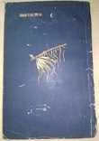 Юні мисливці. Майн Рід. Книга для читання англійською мовою. 1957, фото №7
