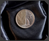 Засіб для чистки монет ХОРС UNIVERSAL, фото №3
