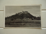 Закарпаття Мукачево 1940-і рр вид на замка паланок, фото №2